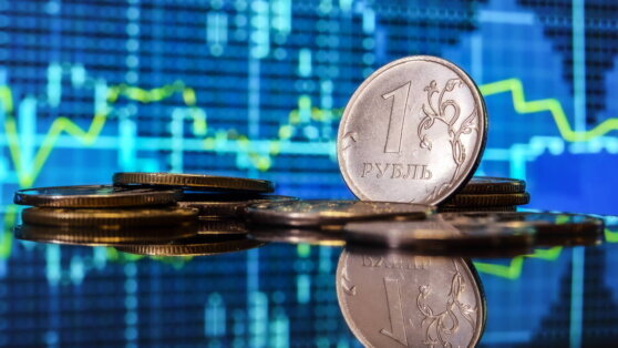    Путин не увидел непреодолимых проблем по ситуации с курсом рубля Ирина Петрова