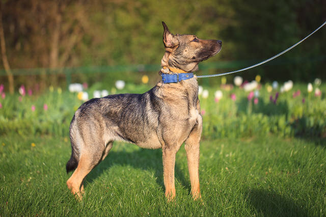 Фото из личного архива автора