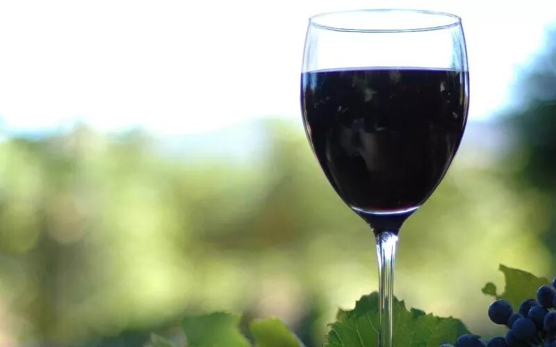 Подробный рецепт вина из изабеллы