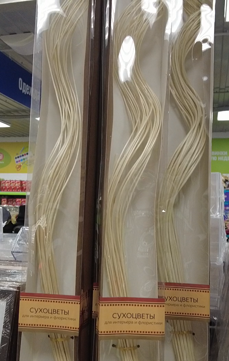 Фото автора zen.yandex.ru/anastasya