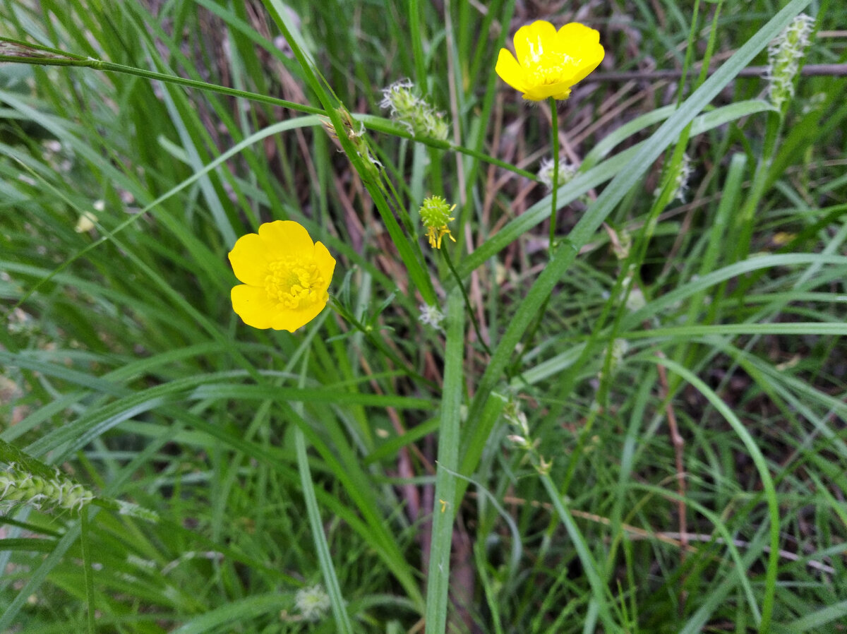 Спасибо природе за это!