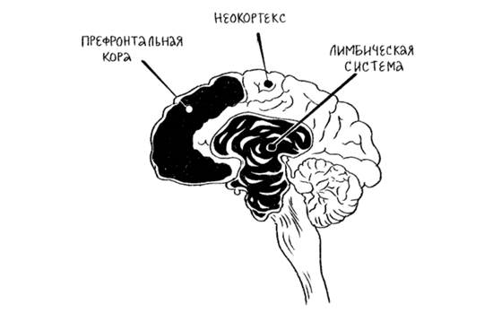 Источник: Яндекс-картинки