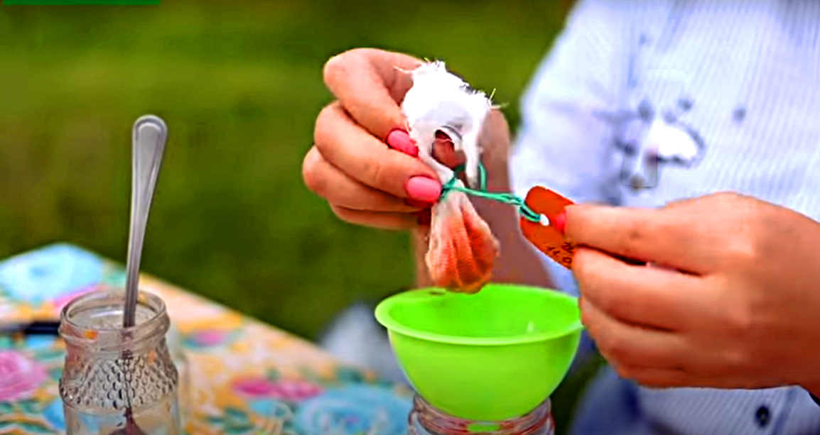 Теперь просушиваем и отправляем семена на хранение.