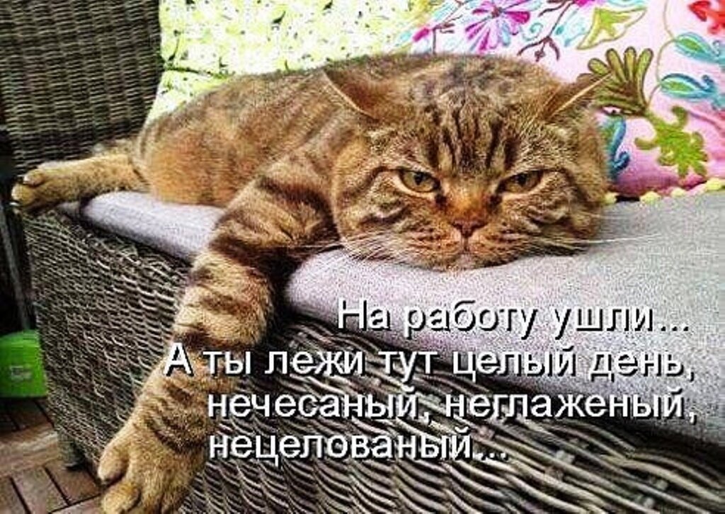 иллюстрация из яндекс картинки.