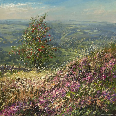 Mark Preston ( )