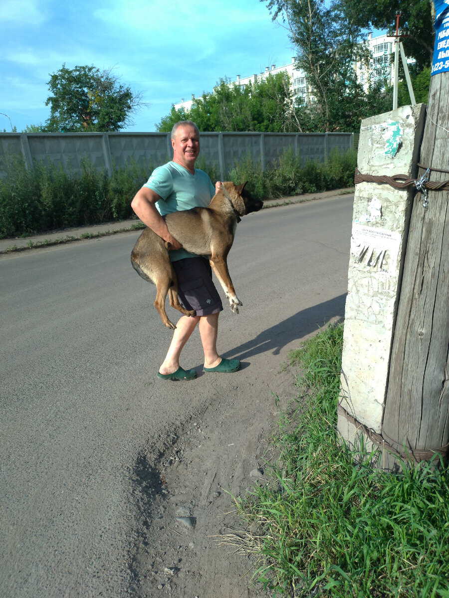 несем беглеца домой.