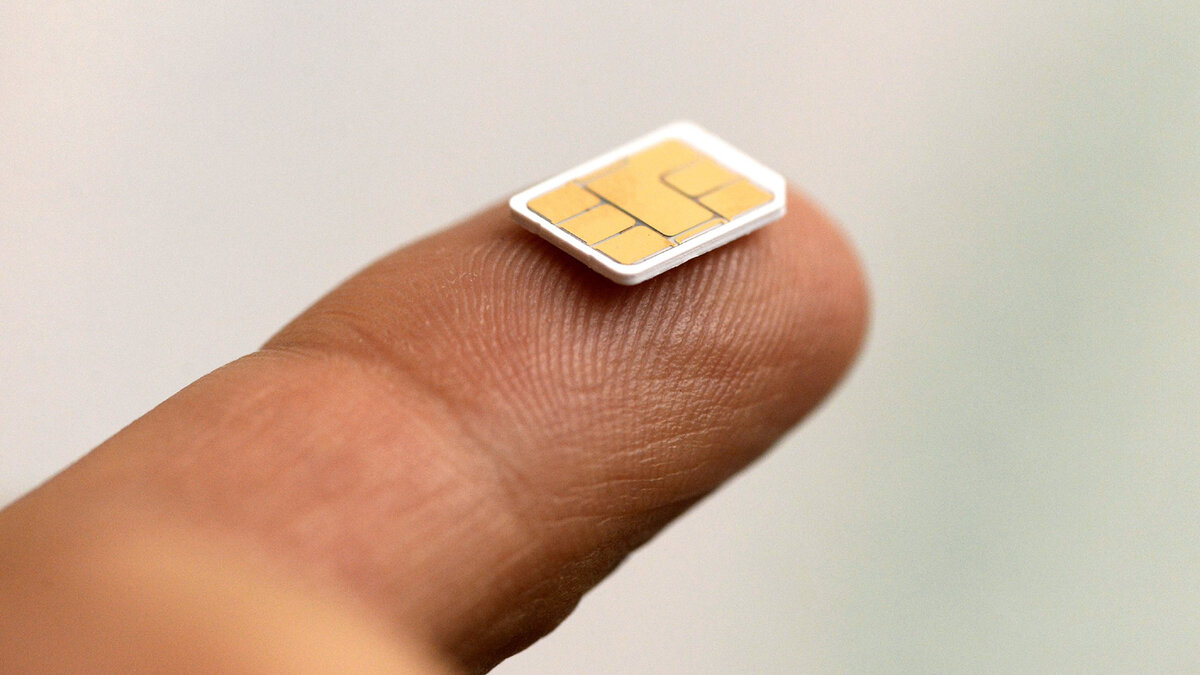 Фото: Global Look Press/imago stock&people