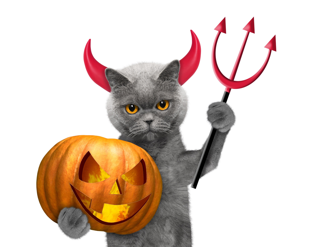 фото: https://vk.com/halloween_tykva