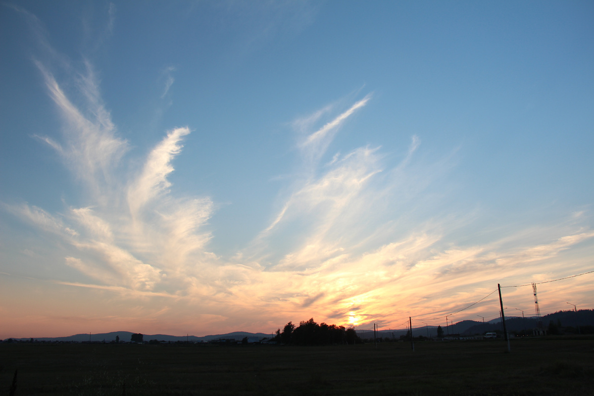 Просто закатная птица