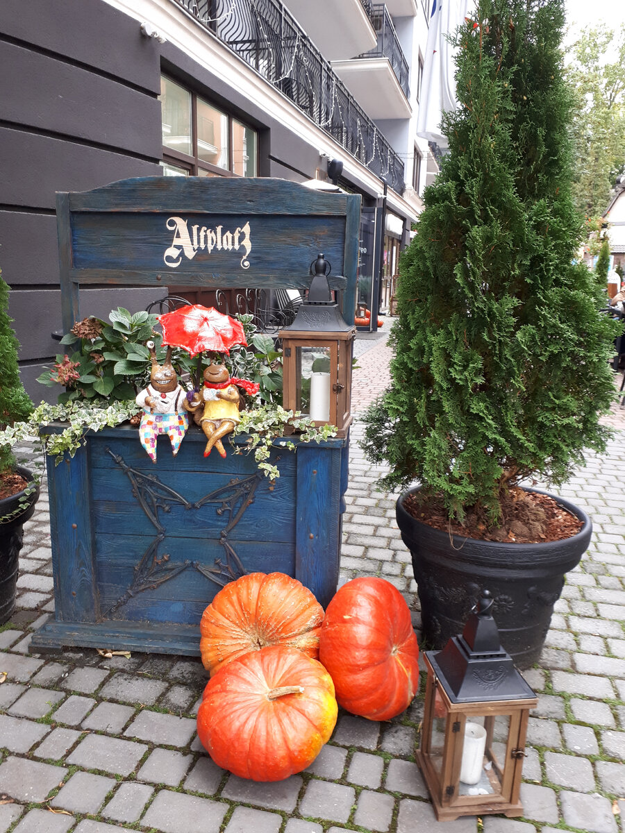 Тыквы в осеннем оформлении улиц города