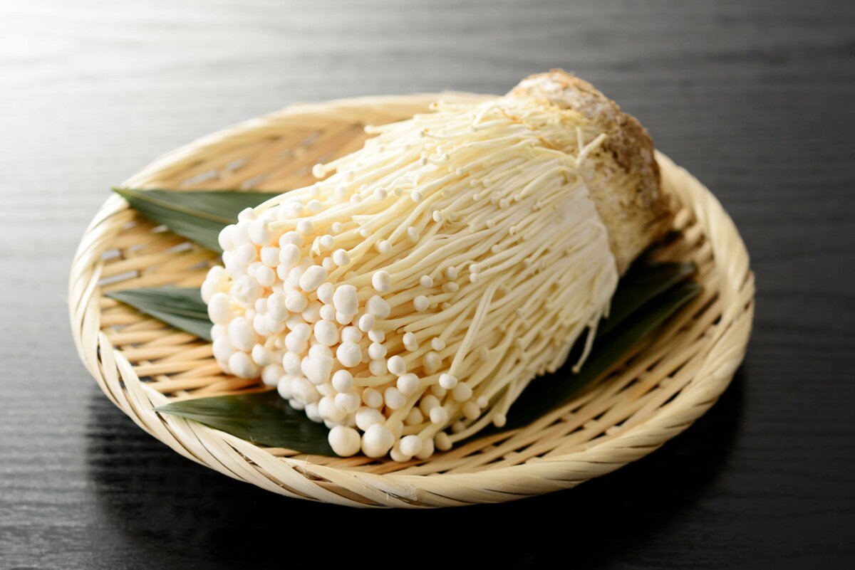 Грибы эноки картинки