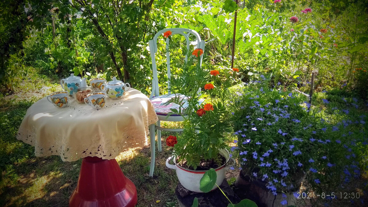 Чай на даче, в тени абрикоса, жарким летним днем. Отдыхать тоже нужно. Иначе дача не нужна.