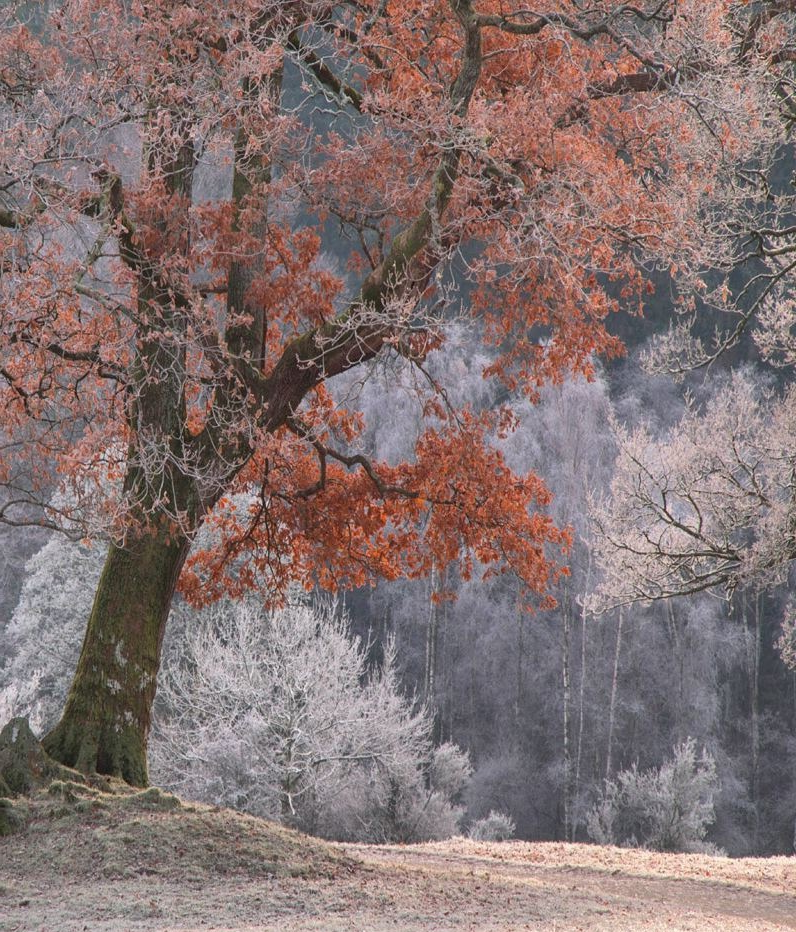 Фото из интернета