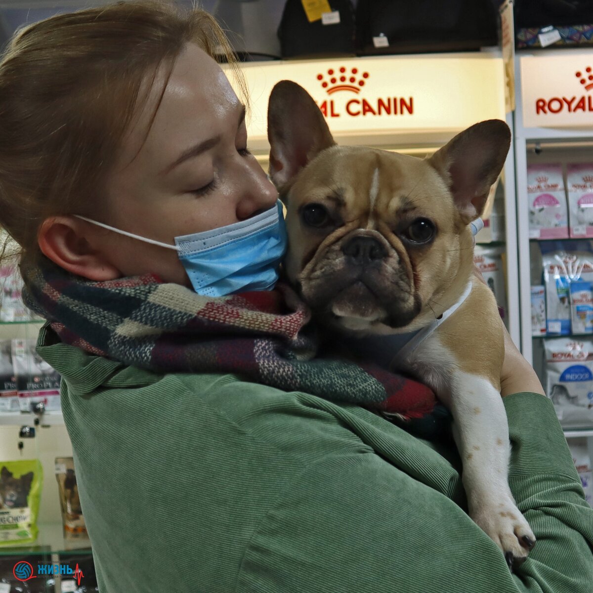 Ветеринарная клиника в Калуге "Жизнь" Лилу после операции на руках у хозяйки