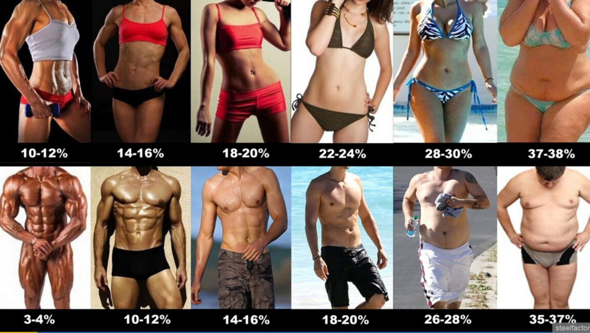 Красота из открытых источников