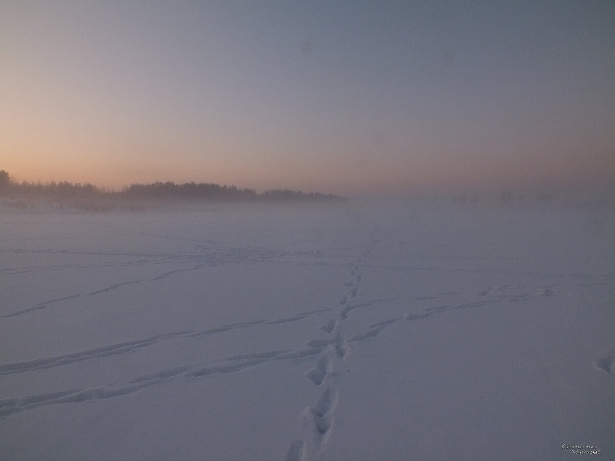 Туман. Светает.