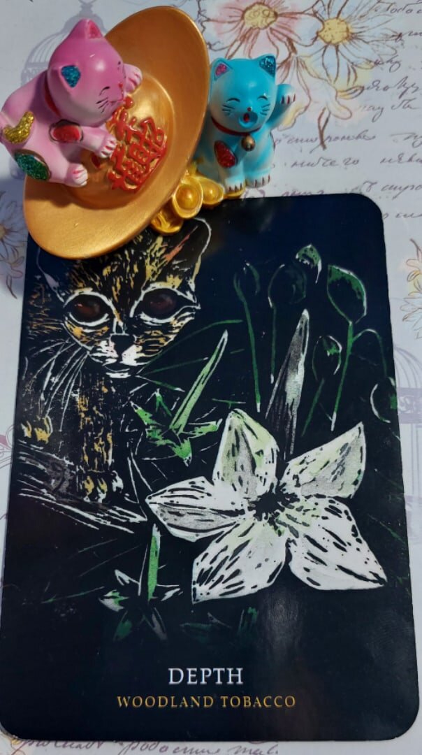 Колода: "Flowers of the Night Oracle" by Cheralyn Darcey