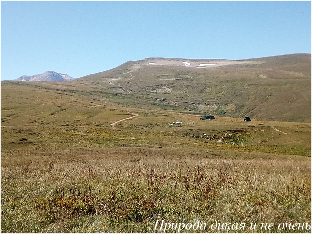 Плато Лагонаки. Вдали пастушьи балаганы