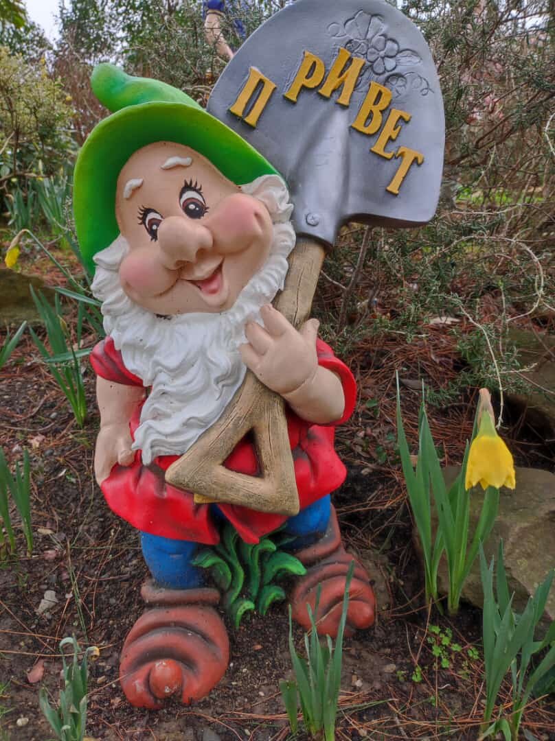 Фото автора