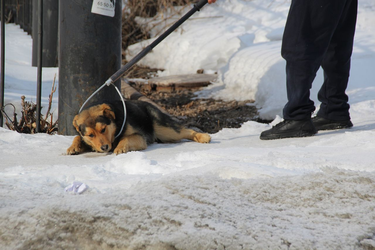 Фото: пресс-служба администрации МО г. Новотроицк