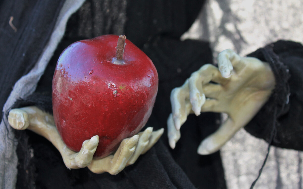 Кикимор опасались все люди, поскольку они несли за собой только неприятности. Фото: Pxfuel.com 