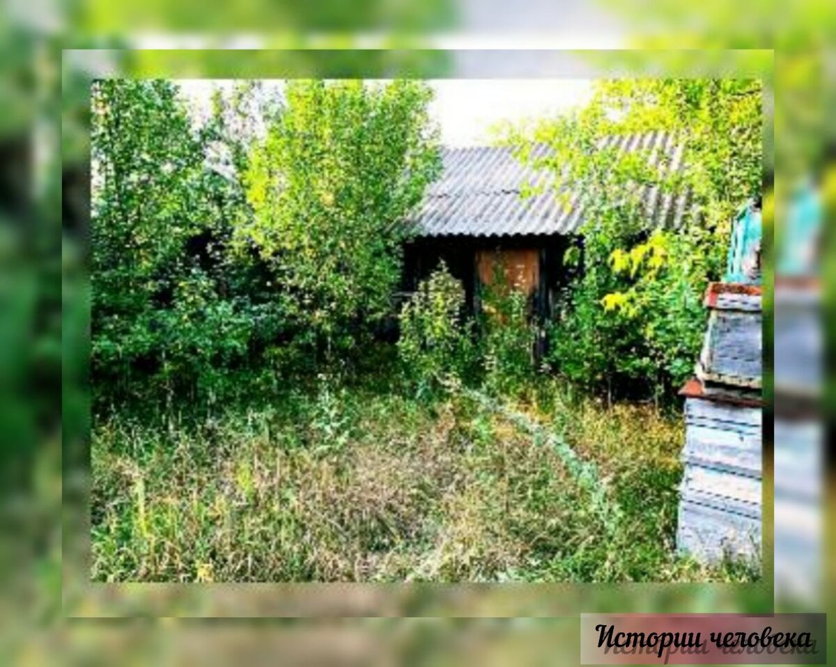Заброшенный дом