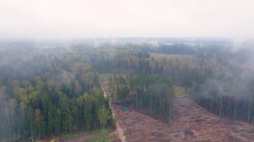 Стоит ли компаниям компенсировать свой углеродный след?