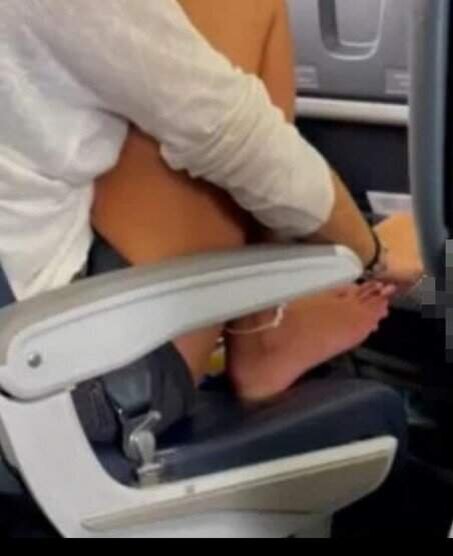 фото из интернет-источника 