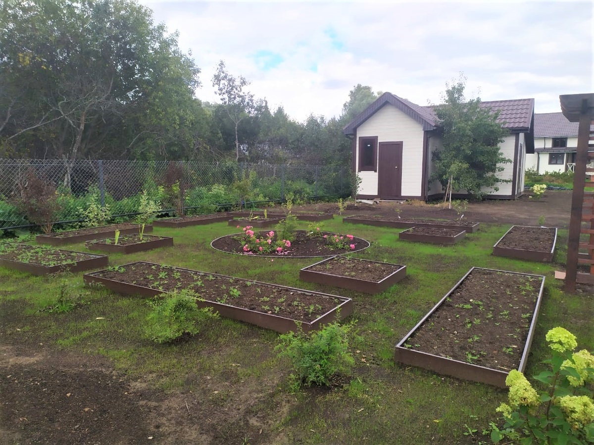 В центре модульного огорода - розарий. Источник: личная галерея