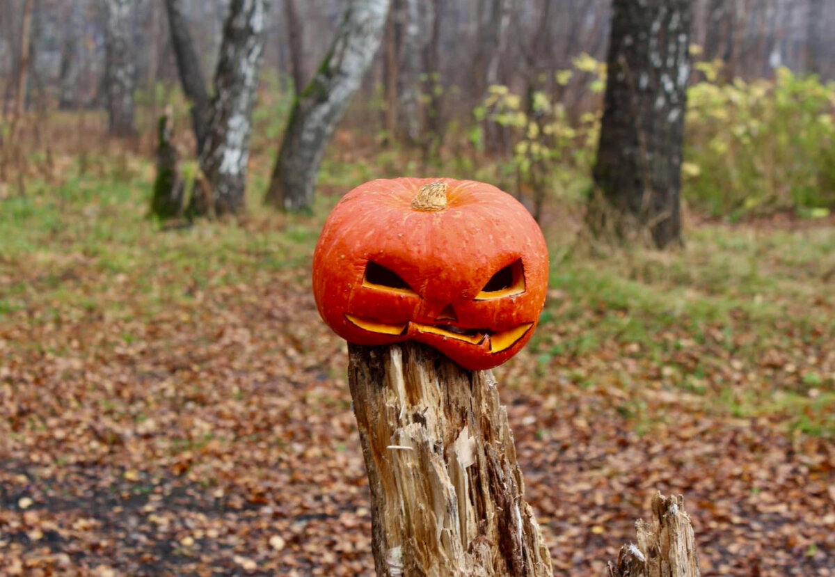 фото Е. Лазурина