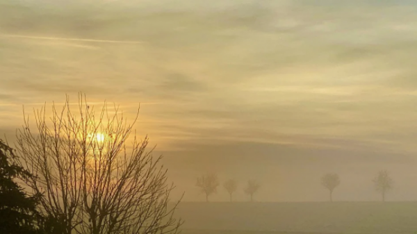 Источник фото: wikimedia 