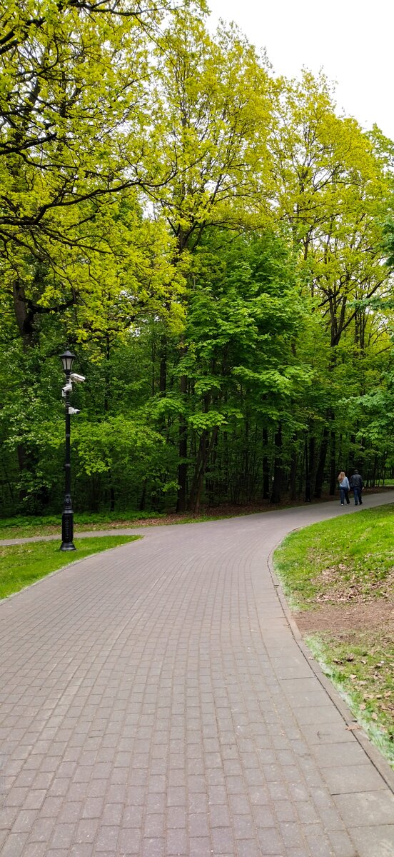 Весна в Останкинском парке. Прогулка наша, фото моë. 