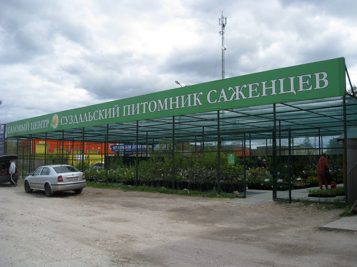 Питомник находится прямо на шоссе