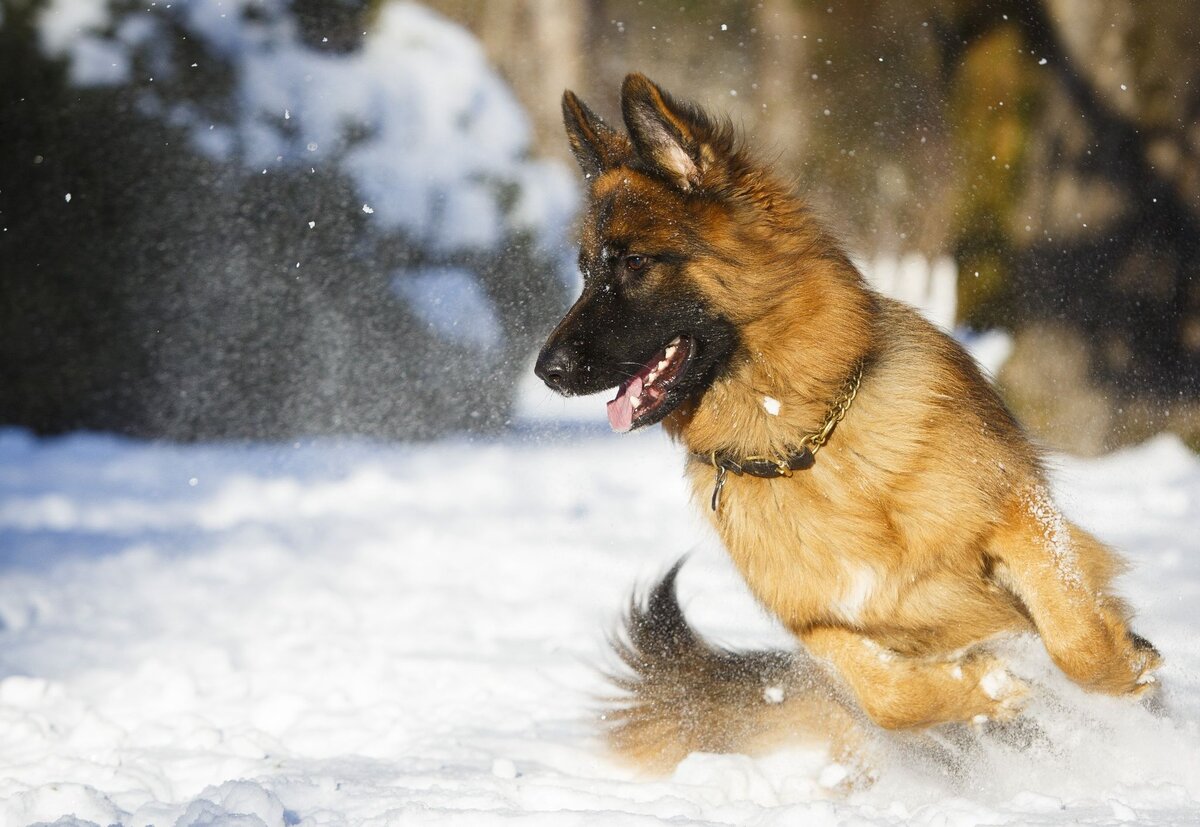 Фото с сайта www.pinterest.ru