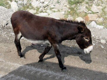 Изображение взято из Яндекс картинки