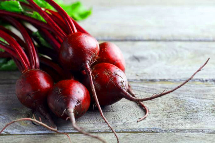 Плоды свёклы