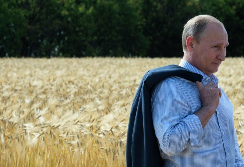 Владимир Путин. Фото: grainbusiness.ru