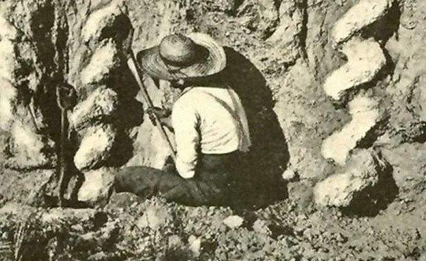 спиралевидный объект в почве