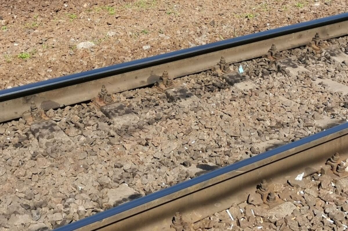    Эксперт: РФ соперничает с КНР за контроль над дорогами Монголии