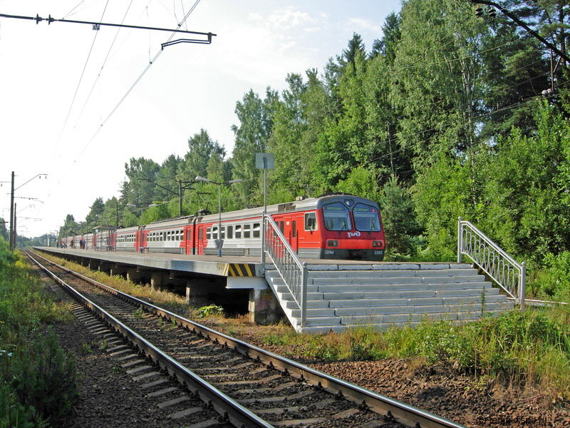 Фото из интернета