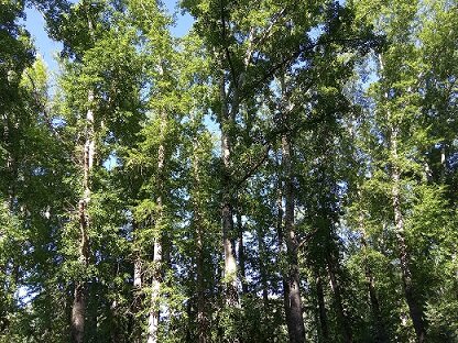 Фотография из личного архива автора
