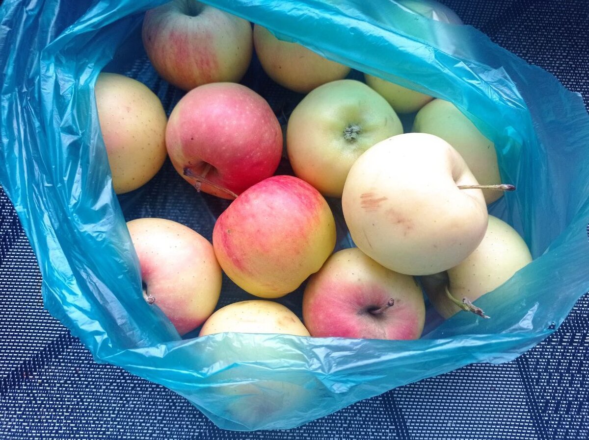 сезонные яблоки, фото автора 