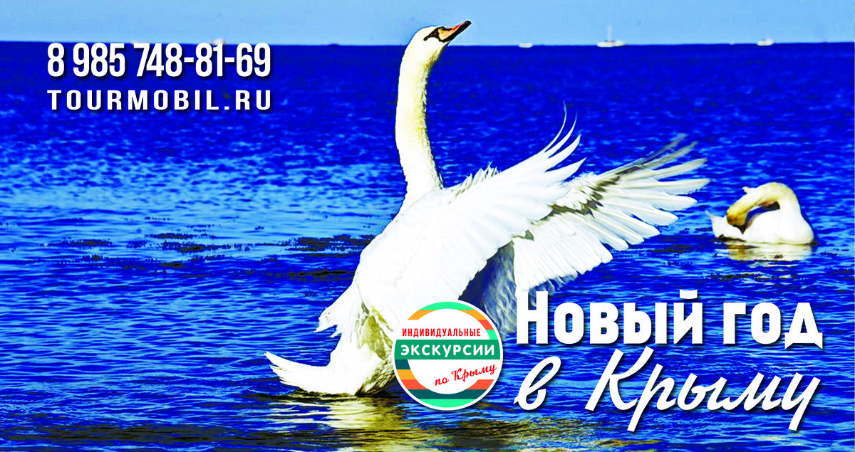 Лебеди в Евпатории