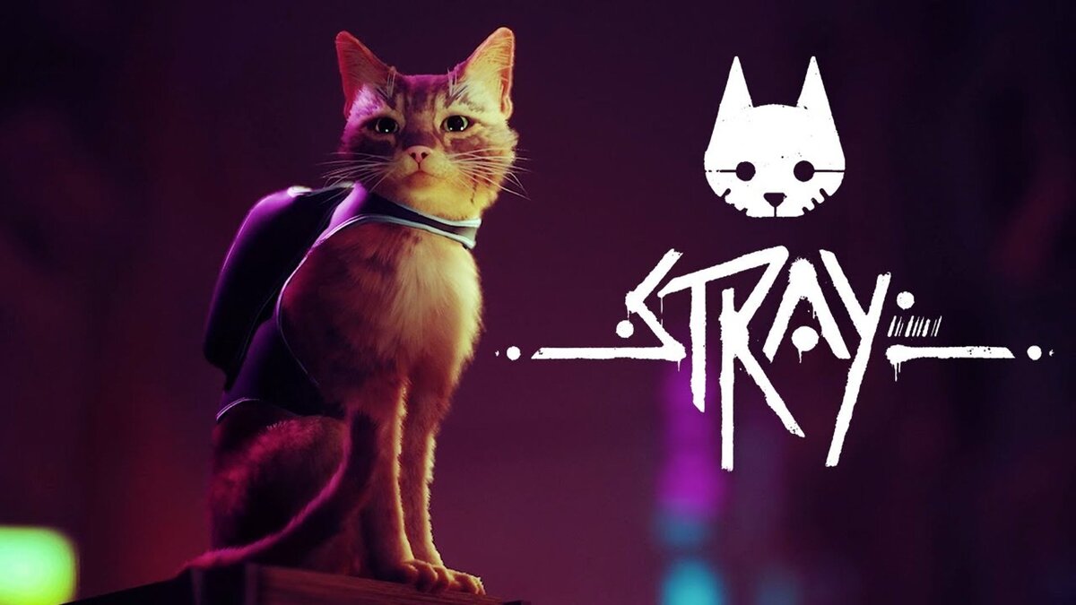 Логотип игры Stray