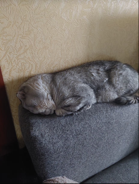 Дрыхну)