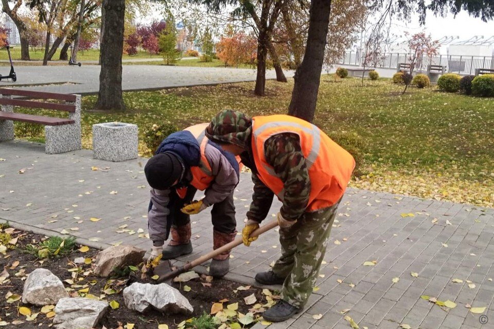     Они украсят город будущей весной  пресс-службы администрации Барнаула