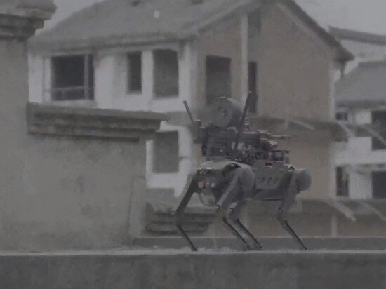     кадр из видео сервиса вайбо