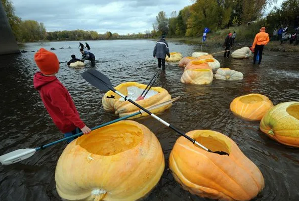 Виндзорская регата. Источник изображений: Яндекс. Картинки