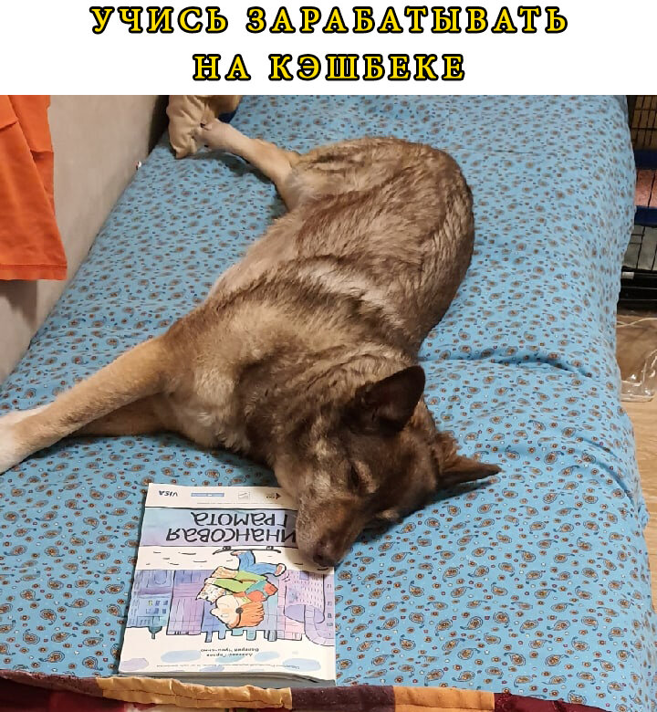 На кредитных картах всегда повышенный кэшбек, но на нет можно зарабатывать приличные деньги "из воздуха"