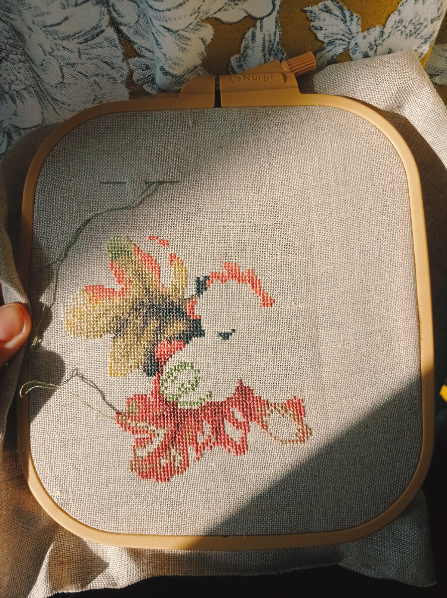 Дары природы от М.П. Студия